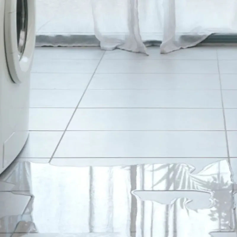Appliance Leak Cleanup in Gaston, NC