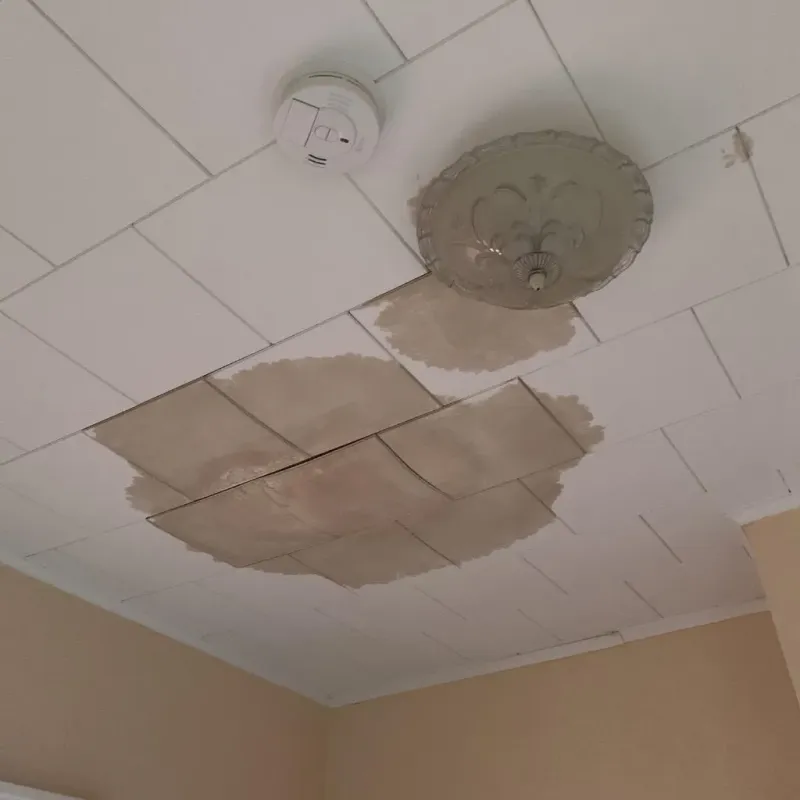 Ceiling Water Damage Repair in Gaston, NC